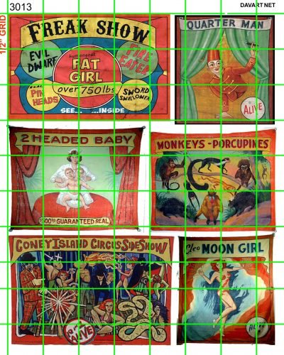 3013 - MIXED FREAK SHOW - 2 HEADED BABY, QUARTER MAN, MOON GIRL, MORE