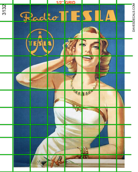 3132-LG RADIO TESLA ADVERTISING  SIGN
