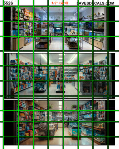 5526 - INTERIOR IMAGE PET STORE